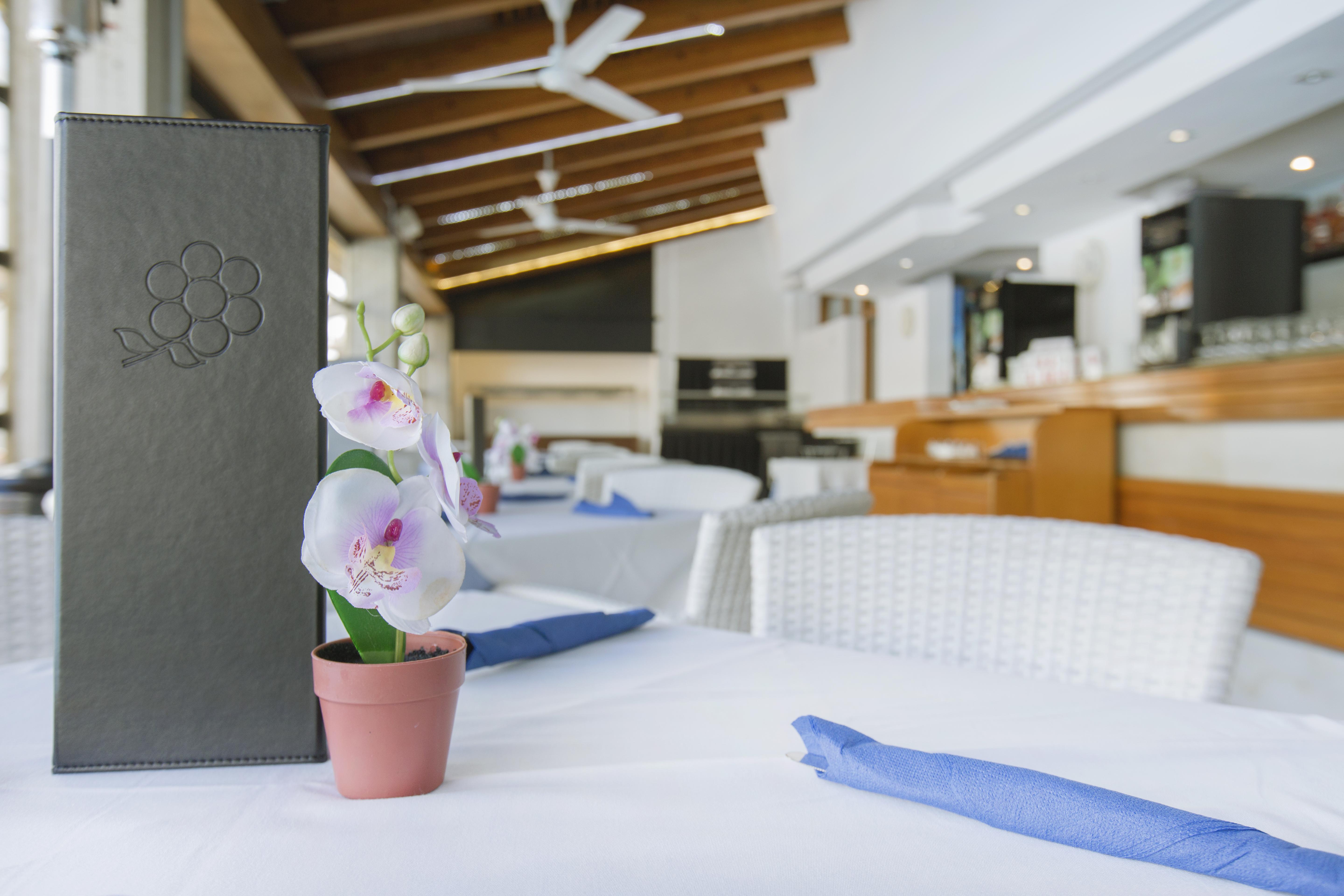 Aparthotel Flora Port de Pollença Zewnętrze zdjęcie